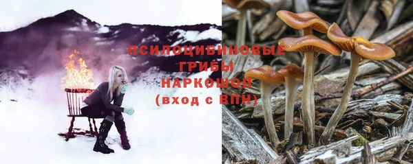 амфетамин Белокуриха