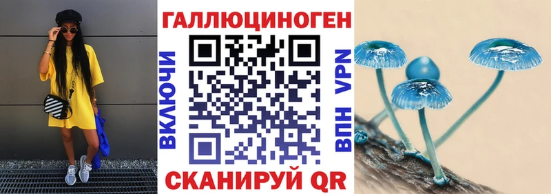 купить  цена  Цоци-Юрт  Галлюциногенные грибы прущие грибы 